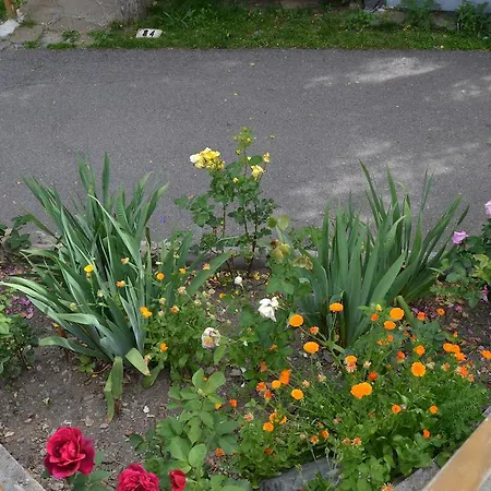 Campsite Camping Aneto Benasque